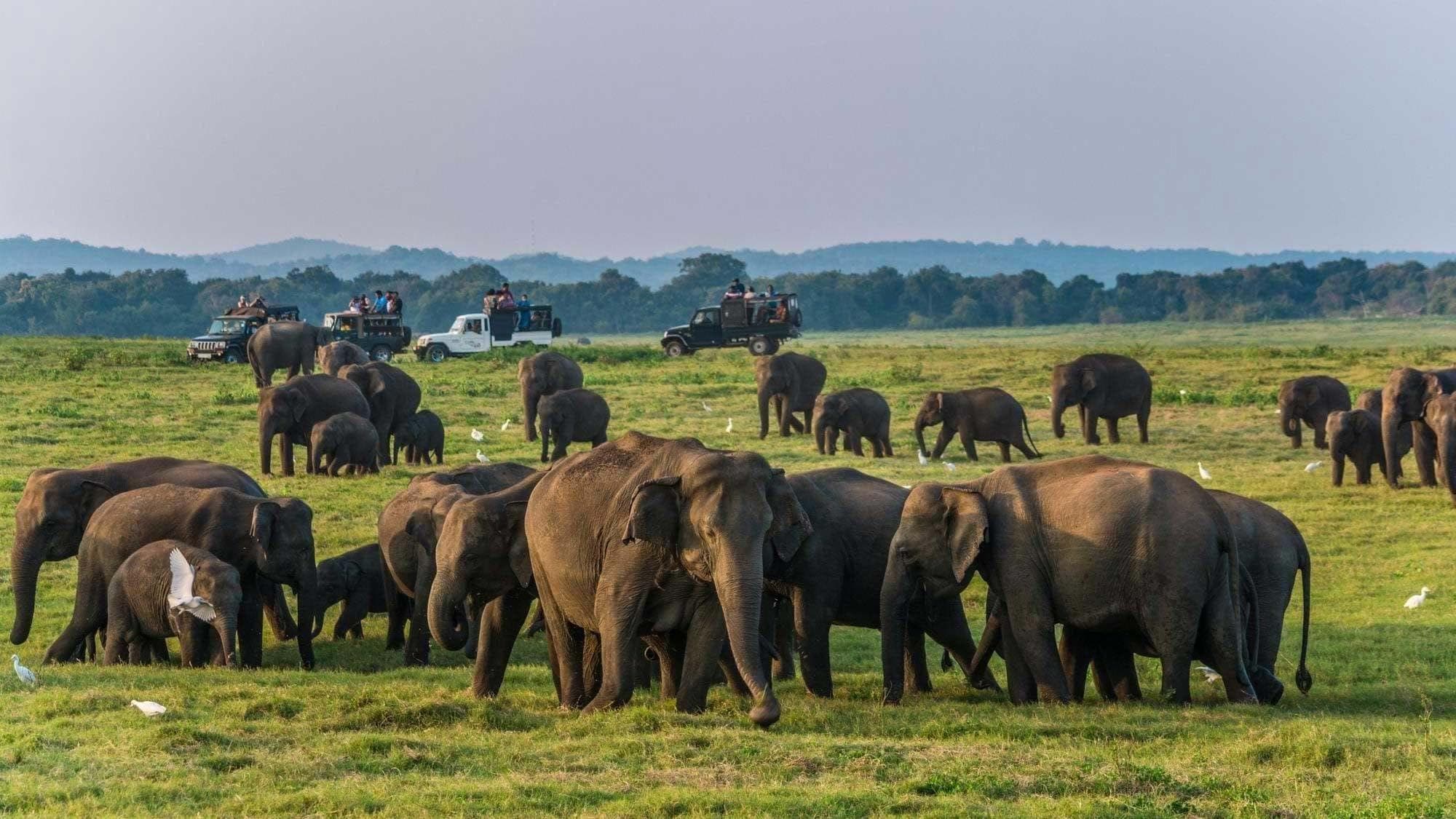 Yala, Sri Lanka