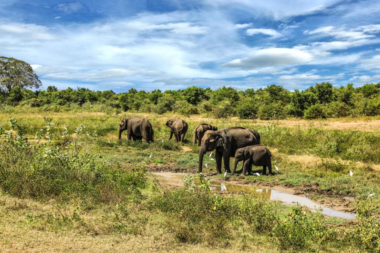 Sri Lanka Family Adventure
